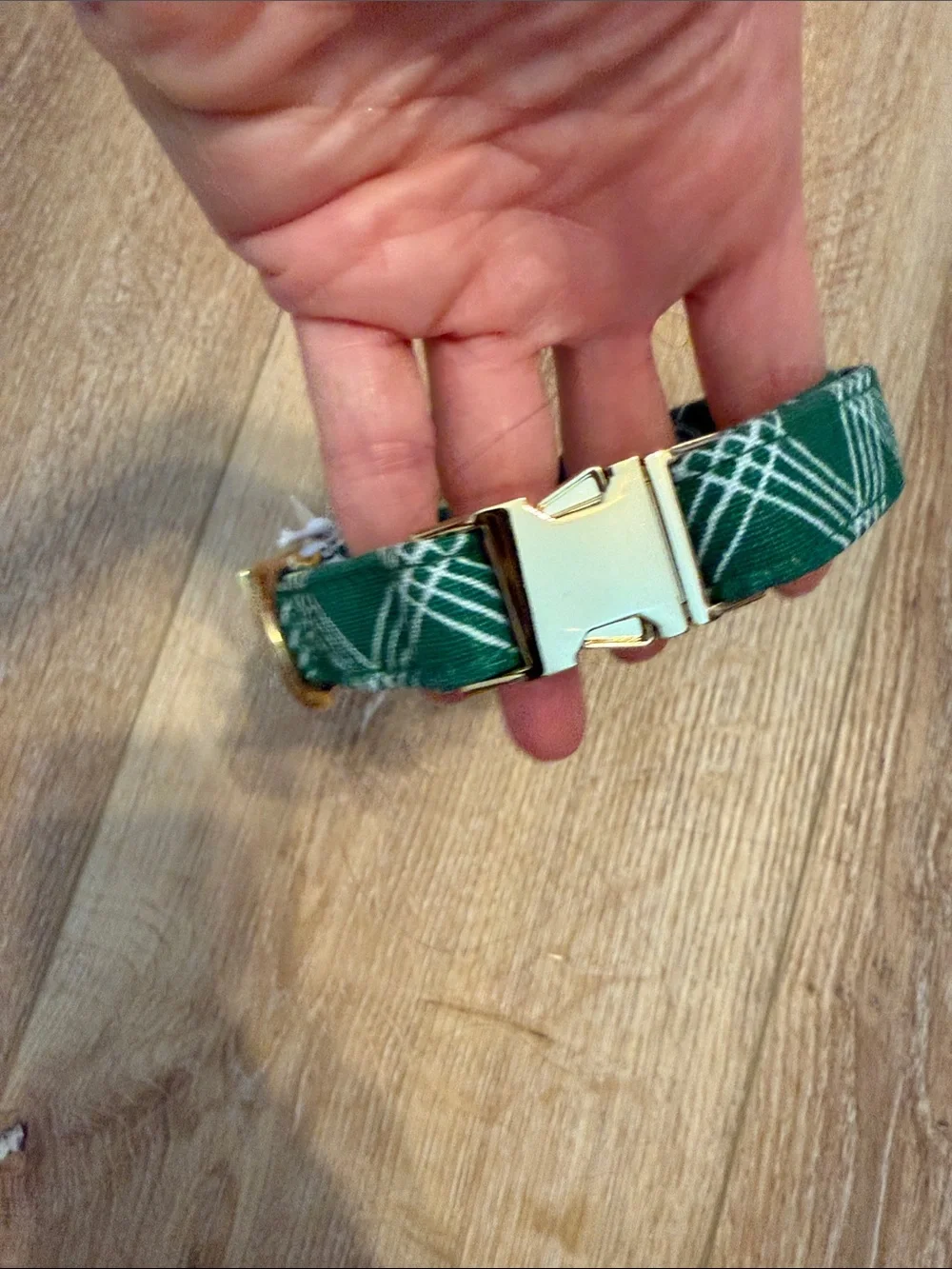 NWT the Foggy Dog Green Fabric collar size small with Gold Hardware